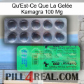 What Is Kamagra Jelly 100Mg new04